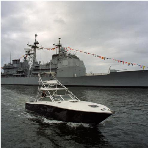 大海中的"阳模"