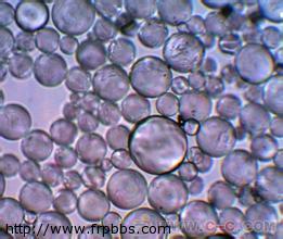 显微镜下的空心玻璃微珠